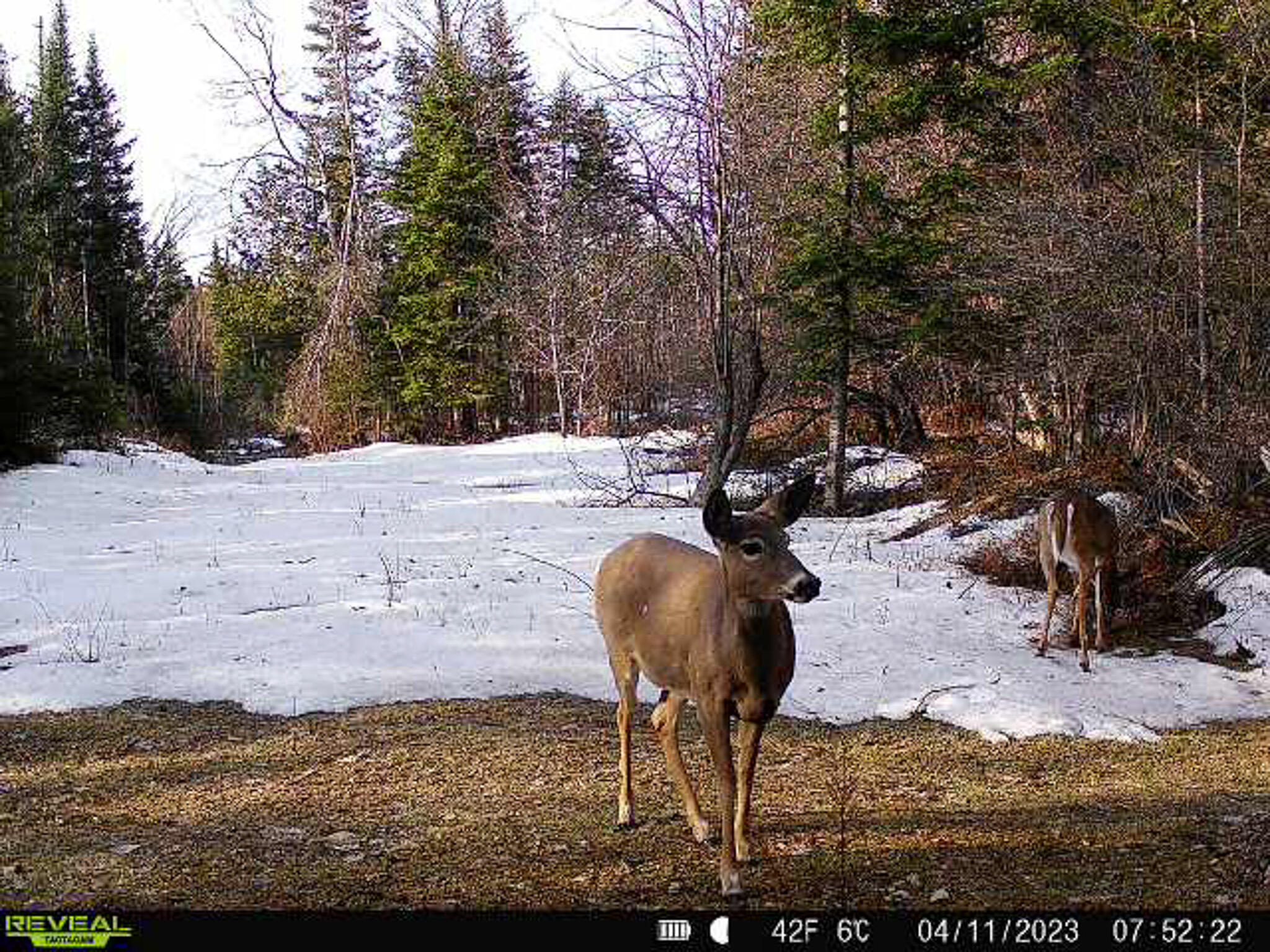 840 Old Winn Road Springfield, ME 04487 - Photo 32 of 35 32
