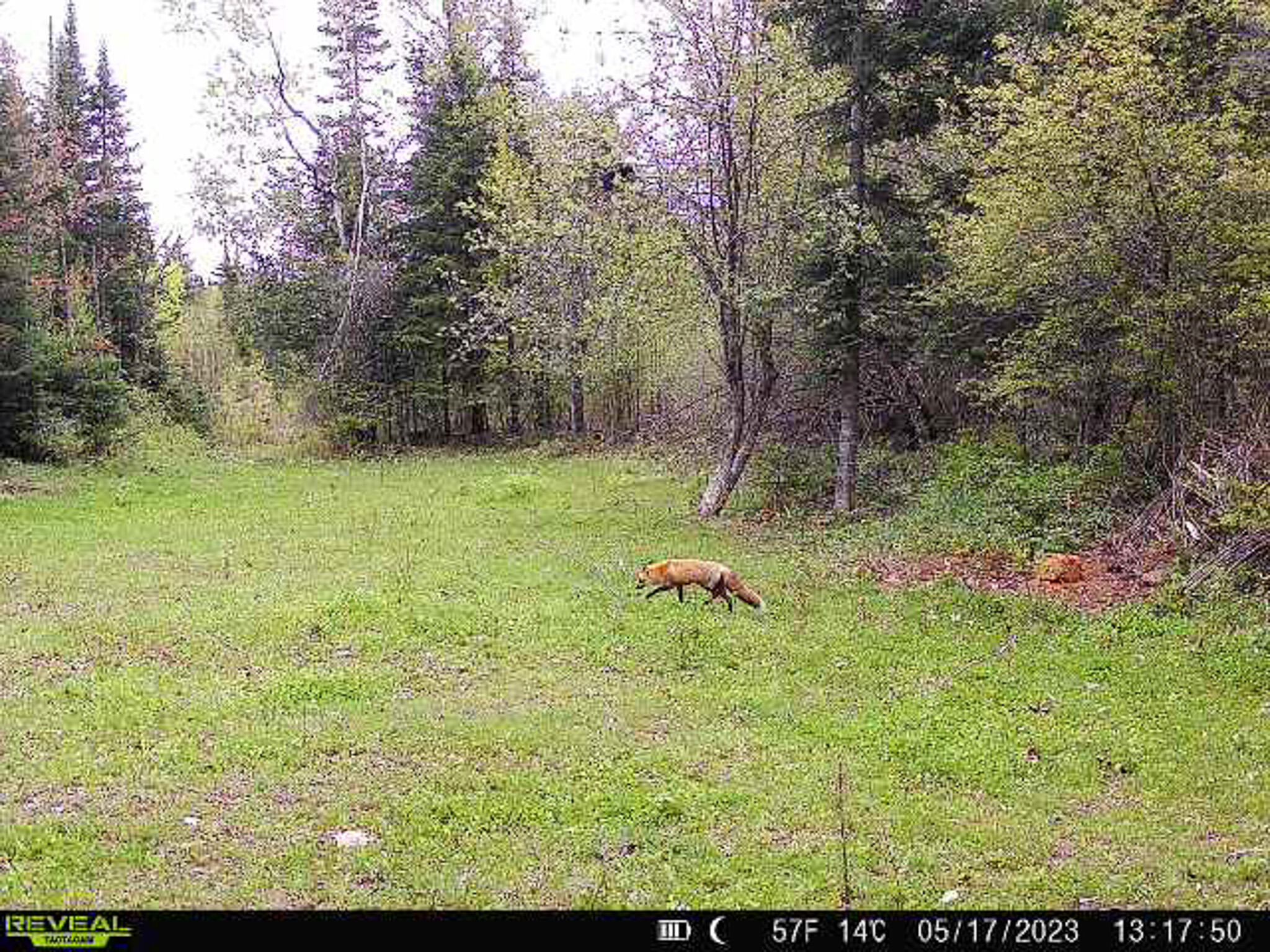 840 Old Winn Road Springfield, ME 04487 - Photo 35 of 35 35