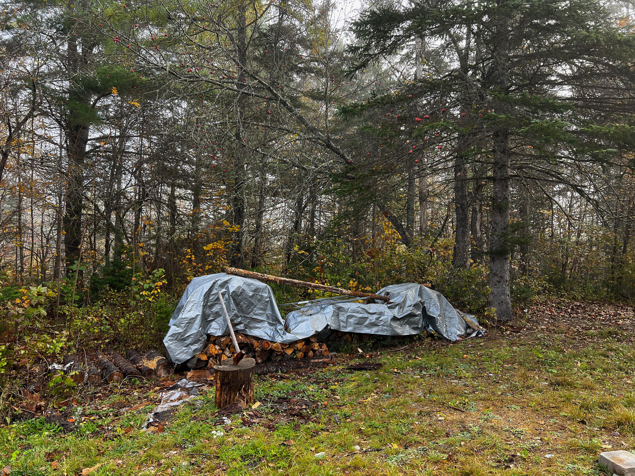 840 Old Winn Road Springfield, ME 04487 - Photo 8 of 35 9