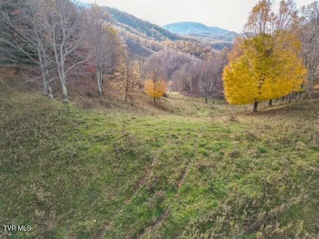 $299,000 | 1297 67 W Highway, Trade, TN 37691