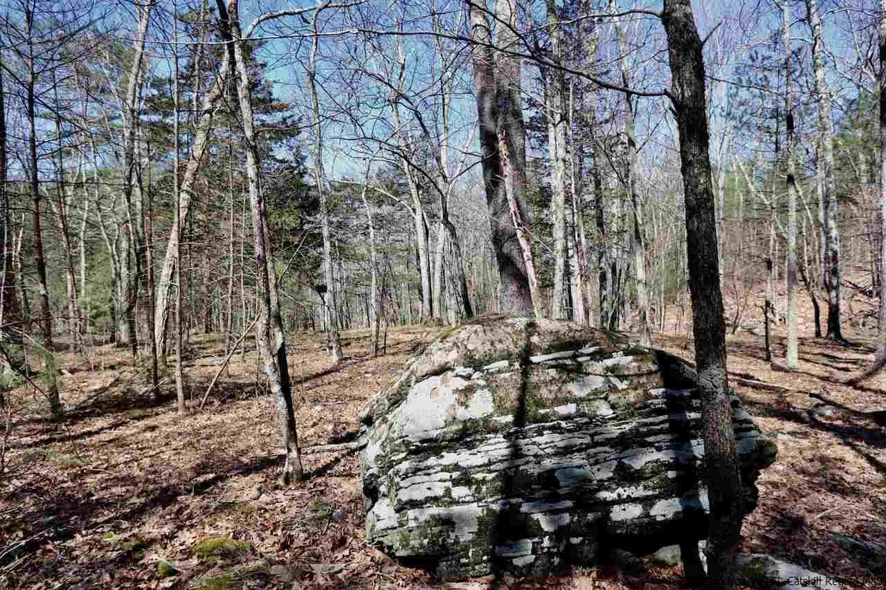 741 Lapla Road Marbletown, NY 12401 - Photo 1 of 10 Photo 1