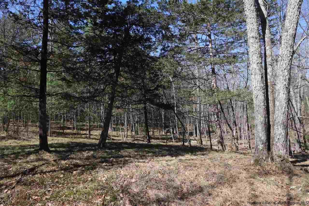 741 Lapla Road Marbletown, NY 12401 - Photo 2 of 10 Photo 2