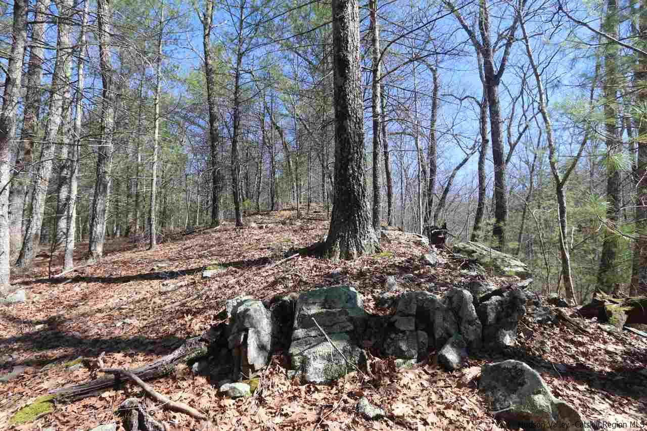 741 Lapla Road Marbletown, NY 12401 - Photo 4 of 10 Photo 4