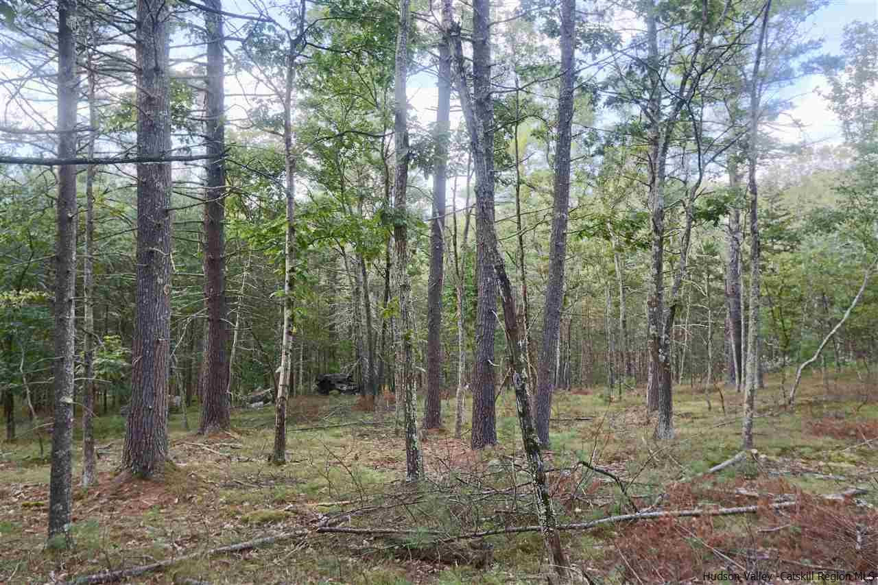 741 Lapla Road Marbletown, NY 12401 - Photo 8 of 10 Photo 11