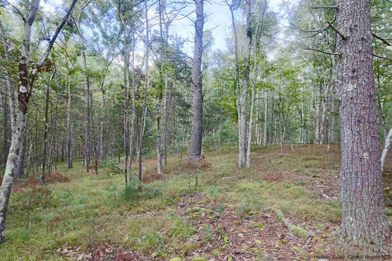 741 Lapla Road Marbletown, NY 12401 - Photo 9 of 10 Photo 12