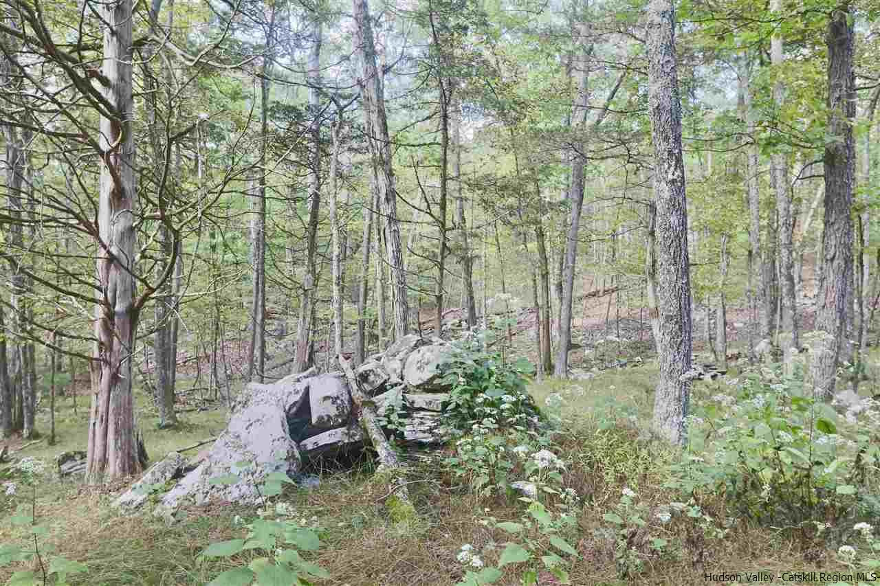 741 Lapla Road Marbletown, NY 12401 - Photo 10 of 10 Photo 13