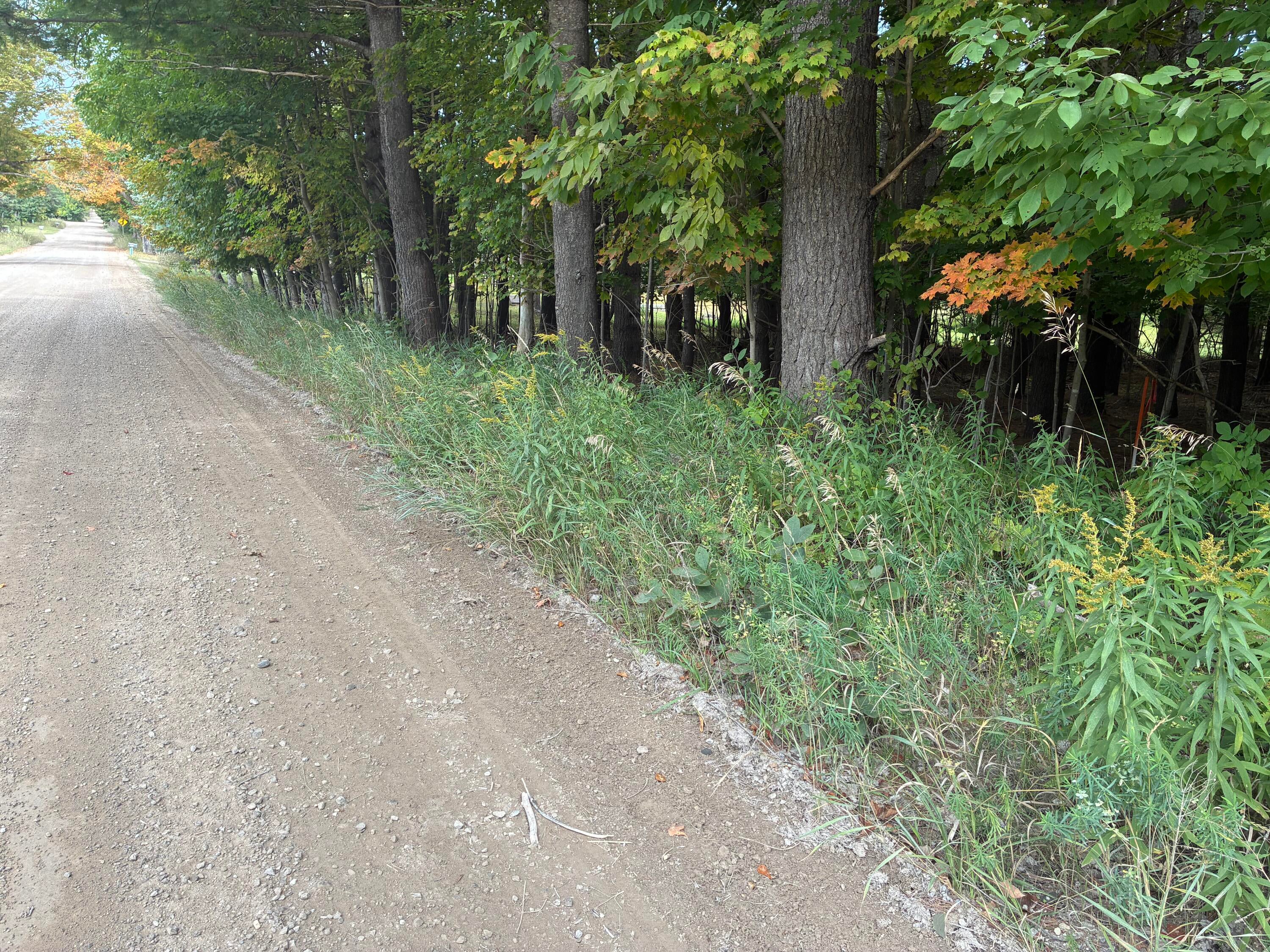 11449 Bilder Road Wolverine, MI 49799 - Photo 11 of 68 Gallery Image 11