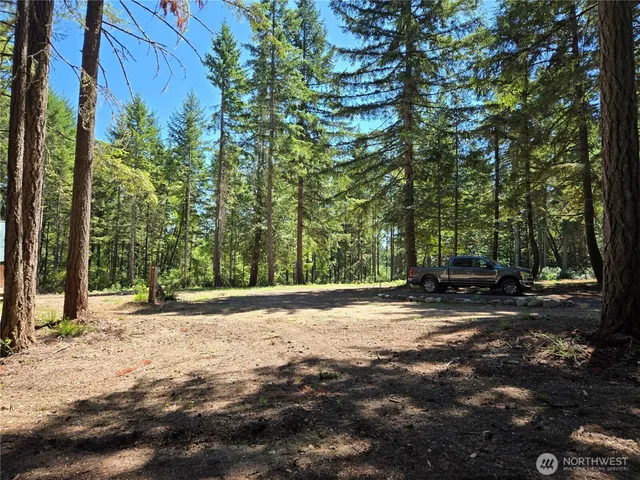 a close up of a plant in a garden