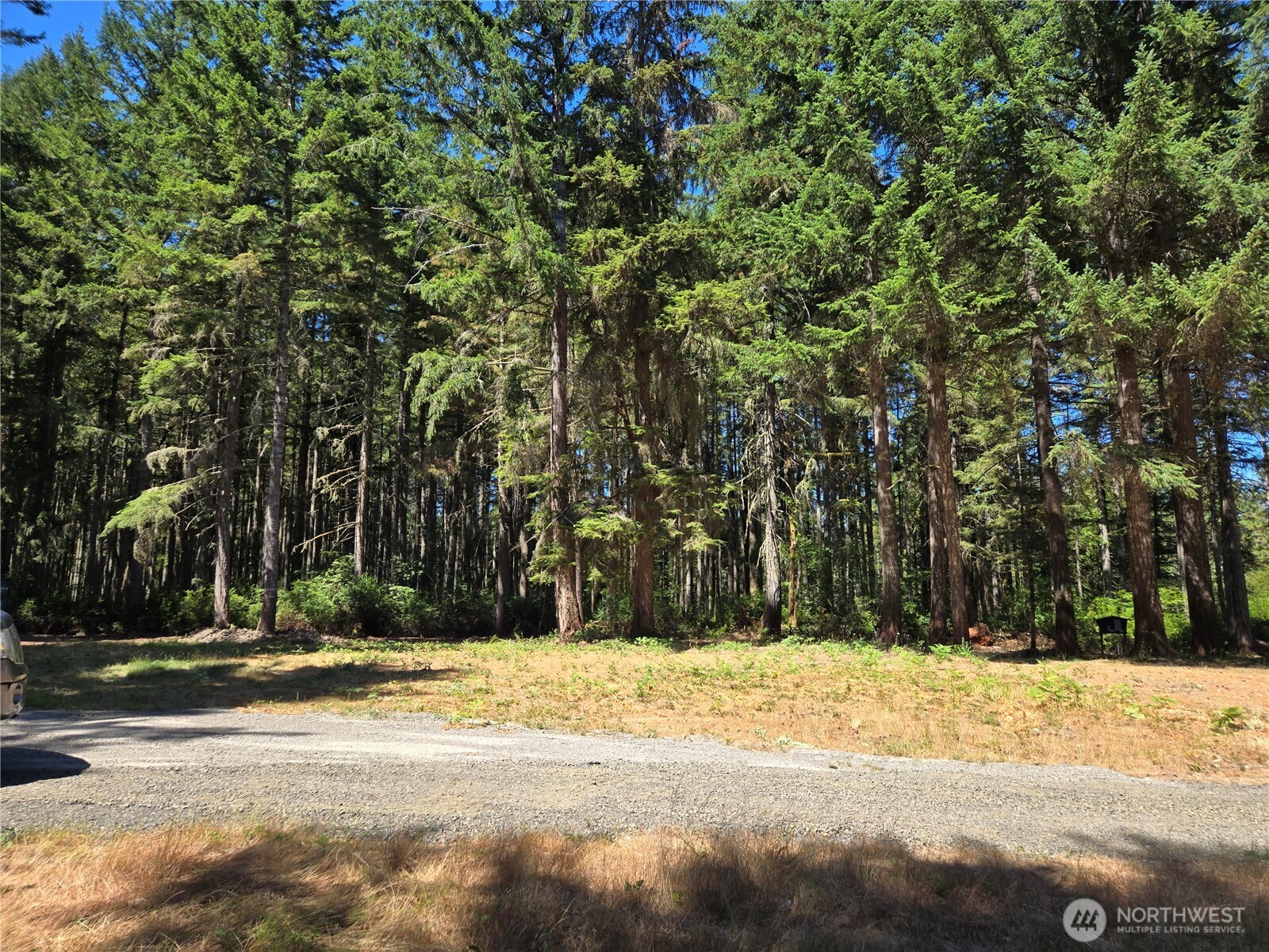 19205 30th Street Southwest Lakebay, WA 98349 - Photo 16 of 19 a view of road and trees