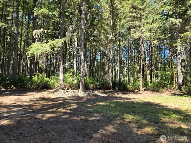 a view of road with trees