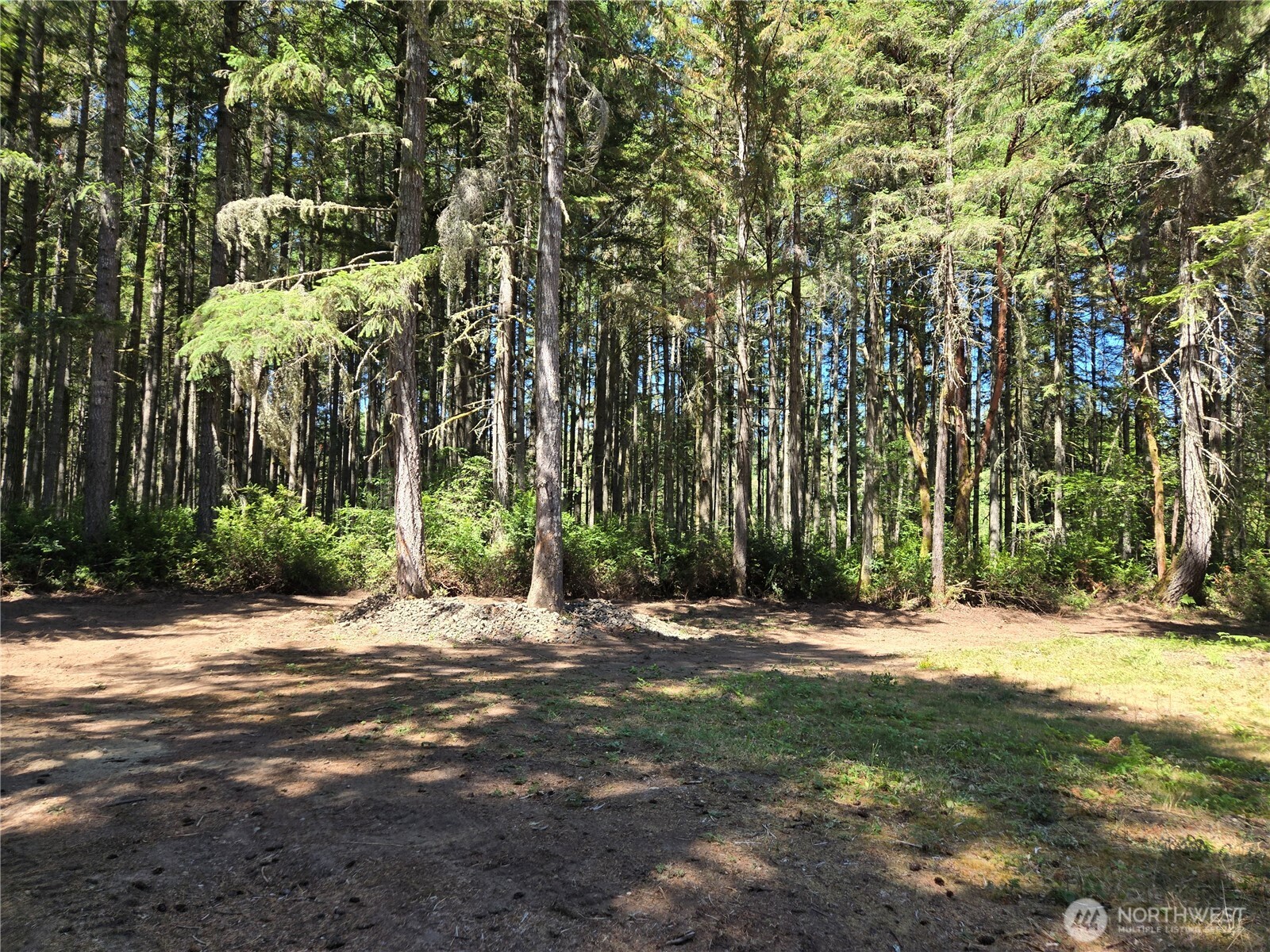 19205 30th Street Southwest Lakebay, WA 98349 - Photo 4 of 19 a view of road with trees
