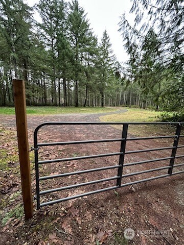 19205 30th Street Southwest Lakebay, WA 98349 - Photo 5 of 19 a view of a yard with large trees