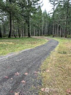 19205 30th Street Southwest Lakebay, WA 98349 - Photo 7 of 19 a backyard of a house with lots of green space