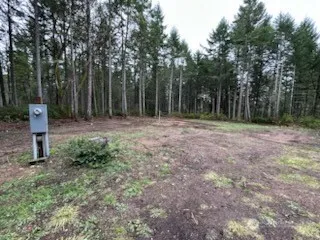 a view of a yard with a trees