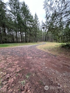 19205 30th Street Southwest Lakebay, WA 98349 - Photo 10 of 19 a view of a yard with a trees
