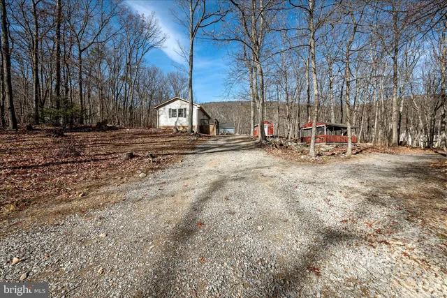 a view of a yard with a house and a tree