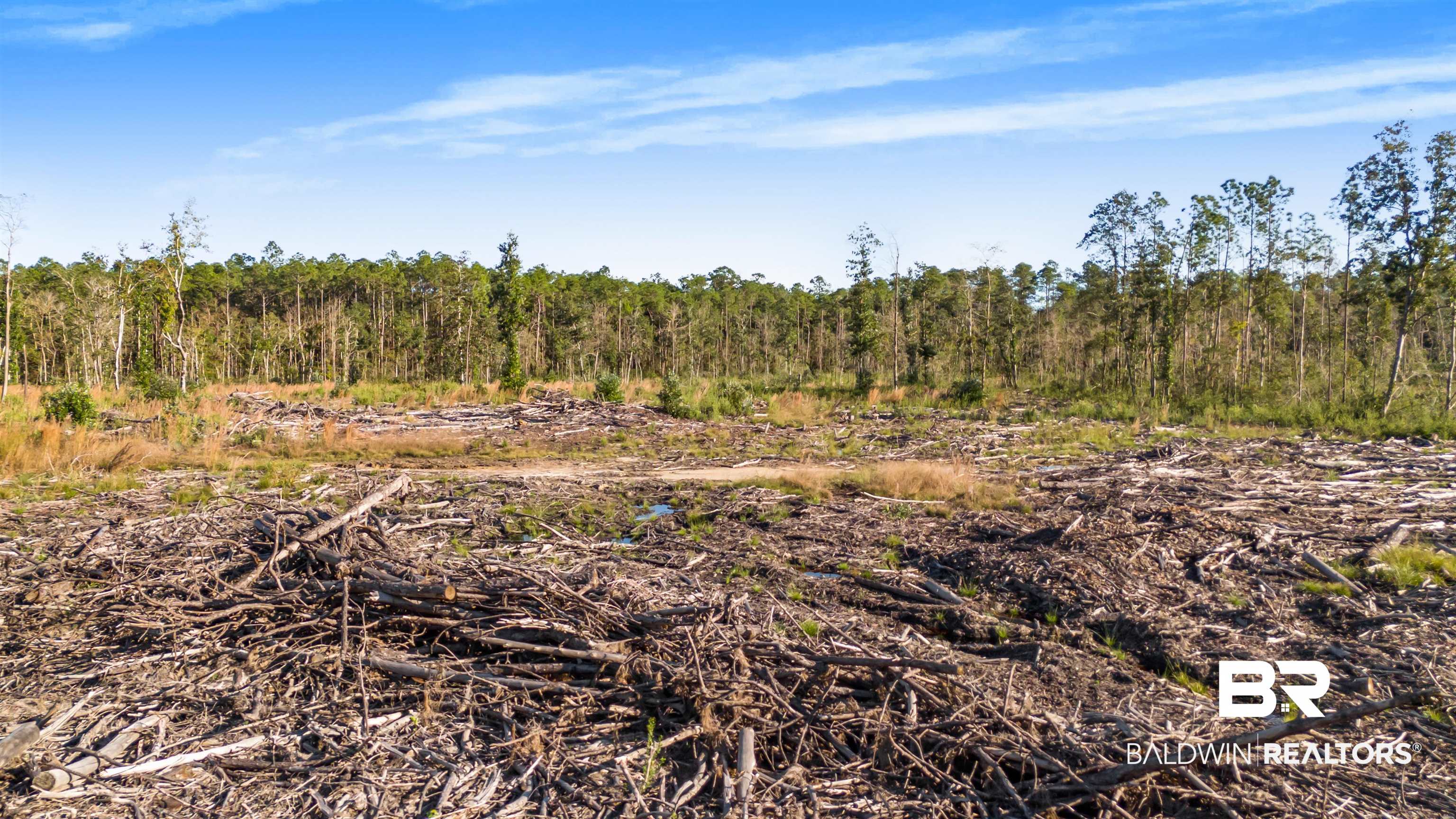 0 County Road 112 Robertsdale, AL 36567 - Photo 29 of 33 View of landscape
