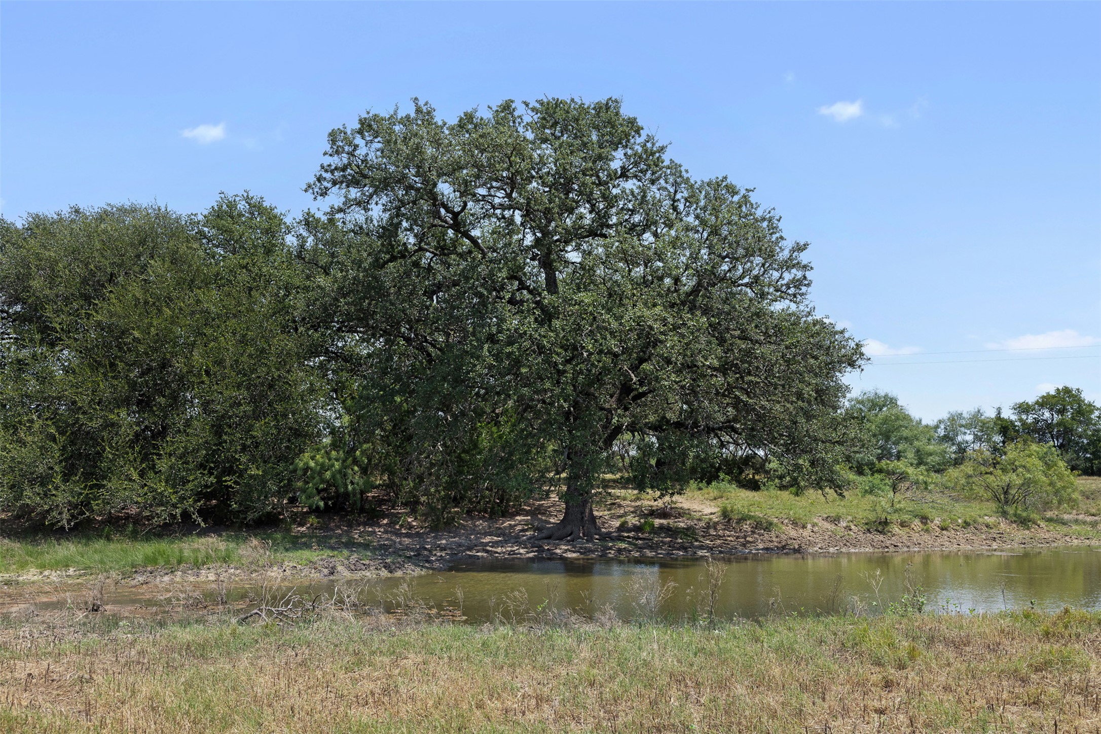 267 Private Road 920 Rochelle, TX 76872 - Photo 32 of 40 Gallery Image 32