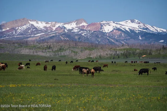 $2,800,000 | Tbd Merna North Beaver Road, Daniel, WY 83115