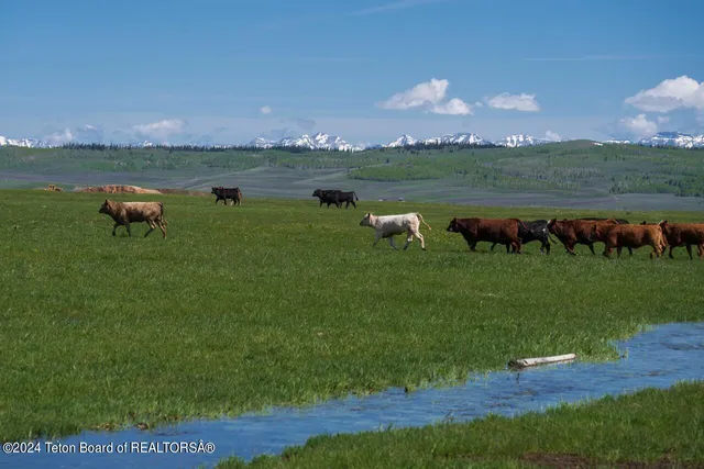 $2,800,000 | Tbd Merna North Beaver Road, Daniel, WY 83115