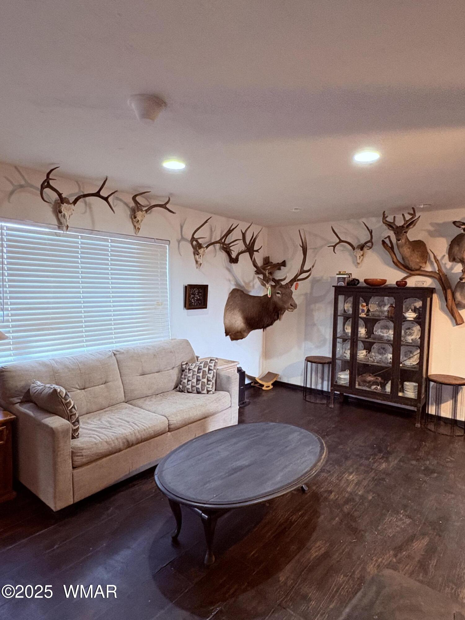 1 B County Road Concho, AZ 85924 - Photo 9 of 21 a living room with furniture and a couch