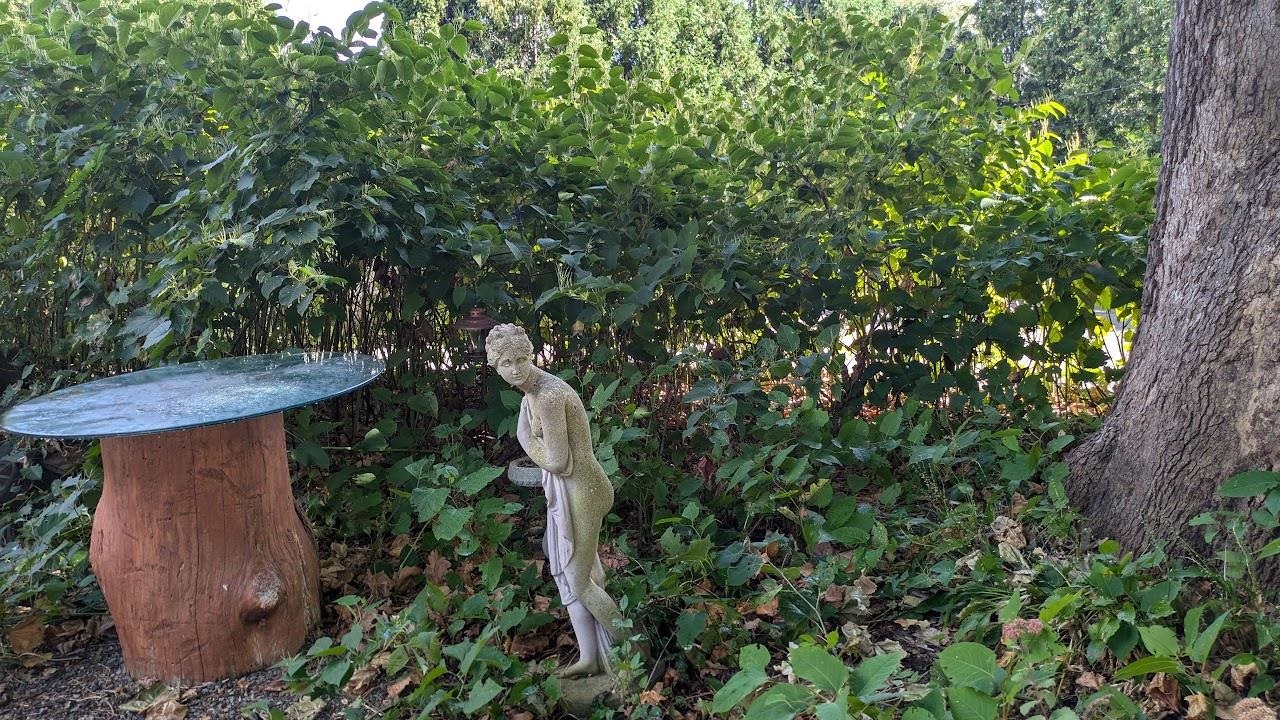 244 East Racine Street Jefferson, WI 53549 - Photo 52 of 60