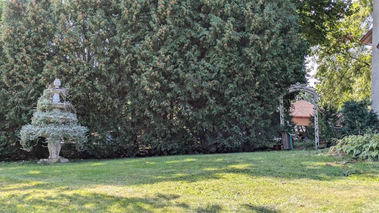 244 East Racine Street Jefferson, WI 53549 - Photo 53 of 60