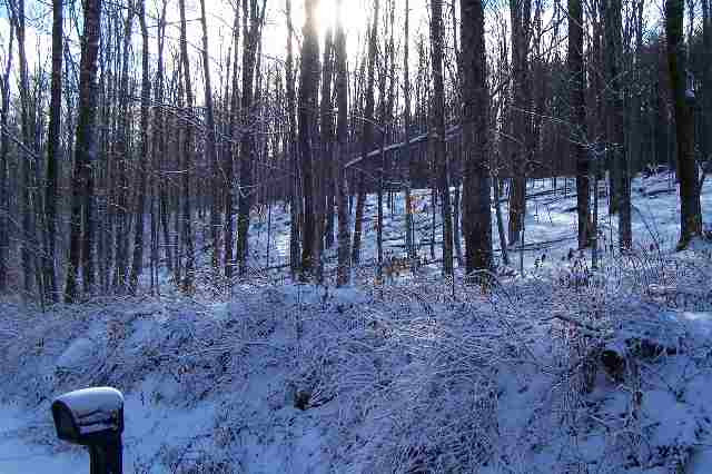 250 Olneys Road Petersburgh, NY 12138 - Photo 12 of 12 Photo 12