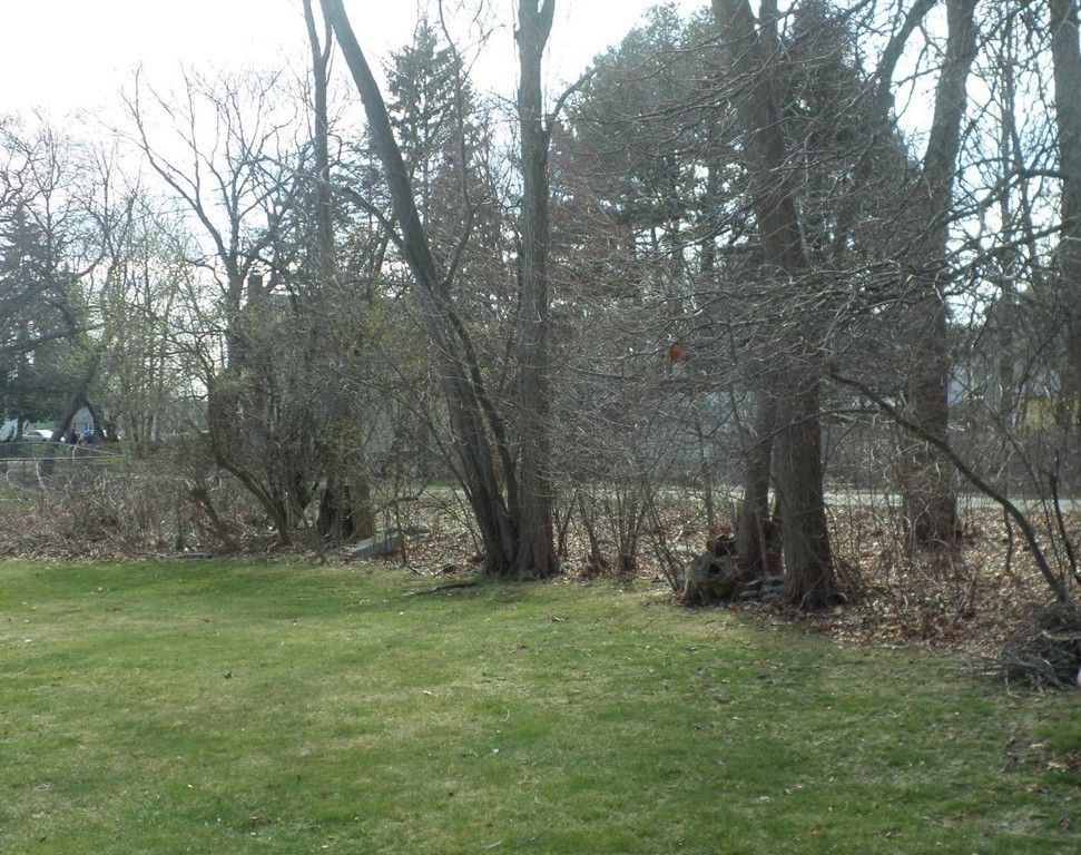 31 Wilmont Road Framingham, MA 01701 - Photo 15 of 18 Gallery Image 15