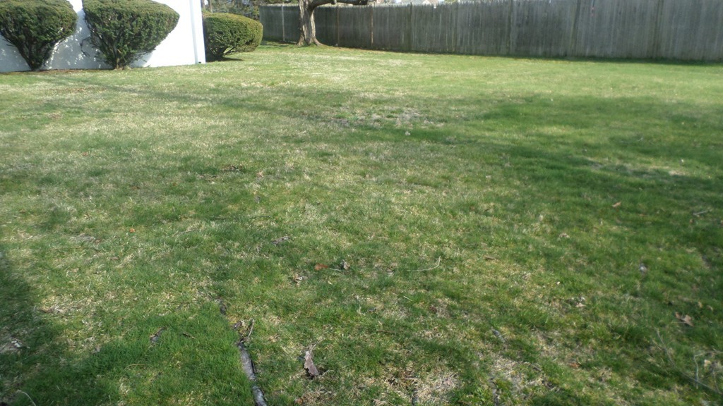 31 Wilmont Road Framingham, MA 01701 - Photo 17 of 18 Gallery Image 17