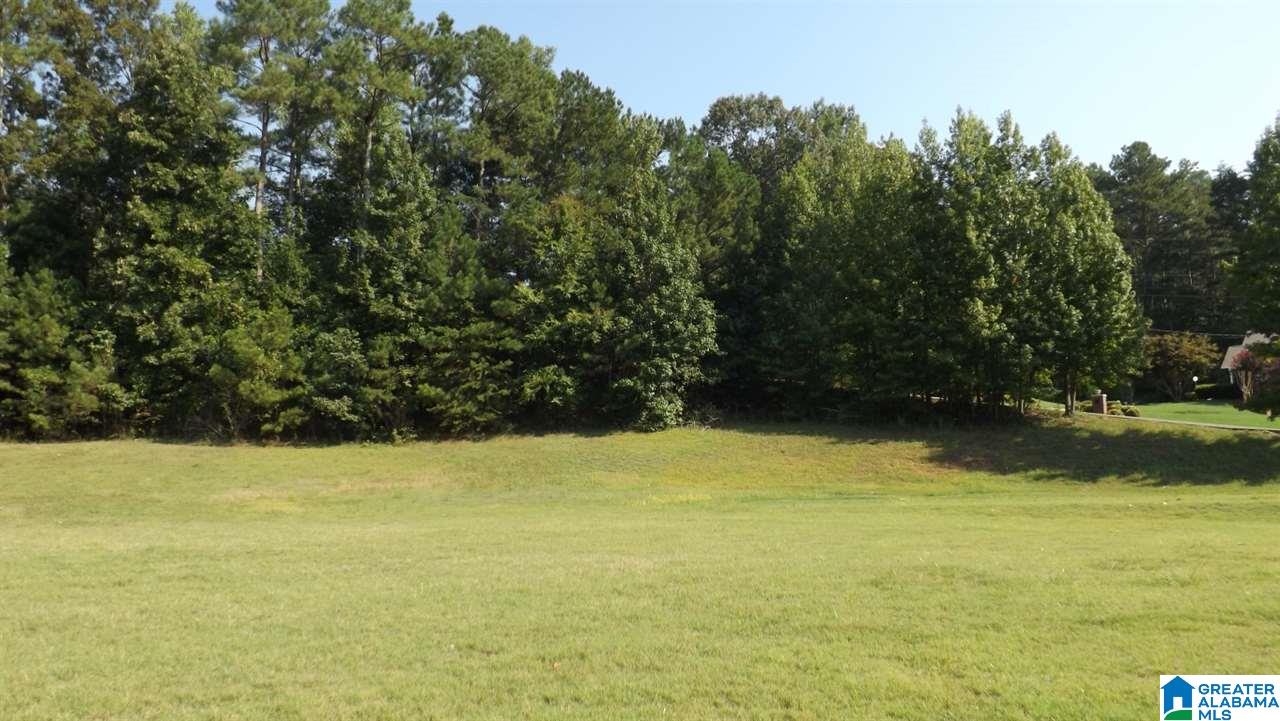 0 Quail Ridge Road, Unit 1 Oneonta, AL 35121 - Photo 4 of 18