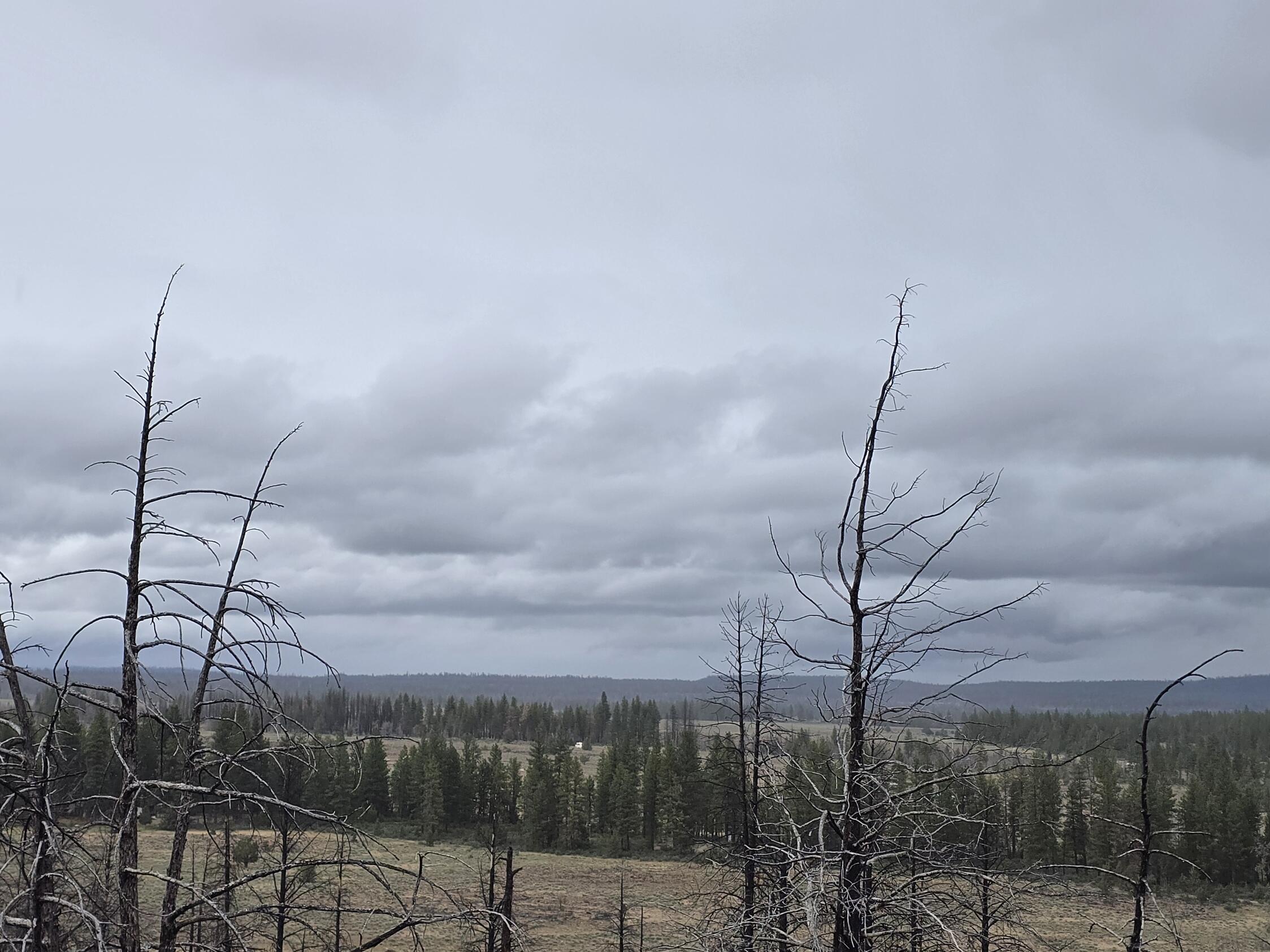 Oregon Pines Road Chiloquin, OR 97624 - Photo 8 of 10 20250621_172645