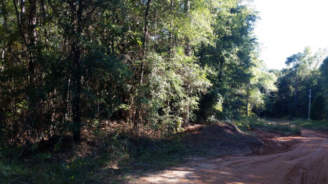 0 County Road 43 Newton, AL 36352 - Photo 1 of 1