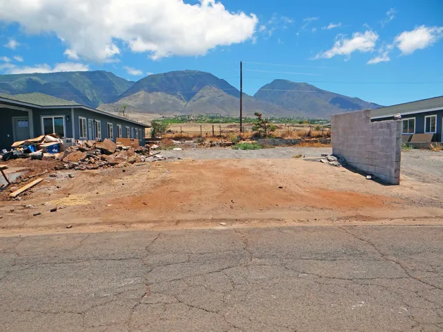 a outdoor space with lots of trees