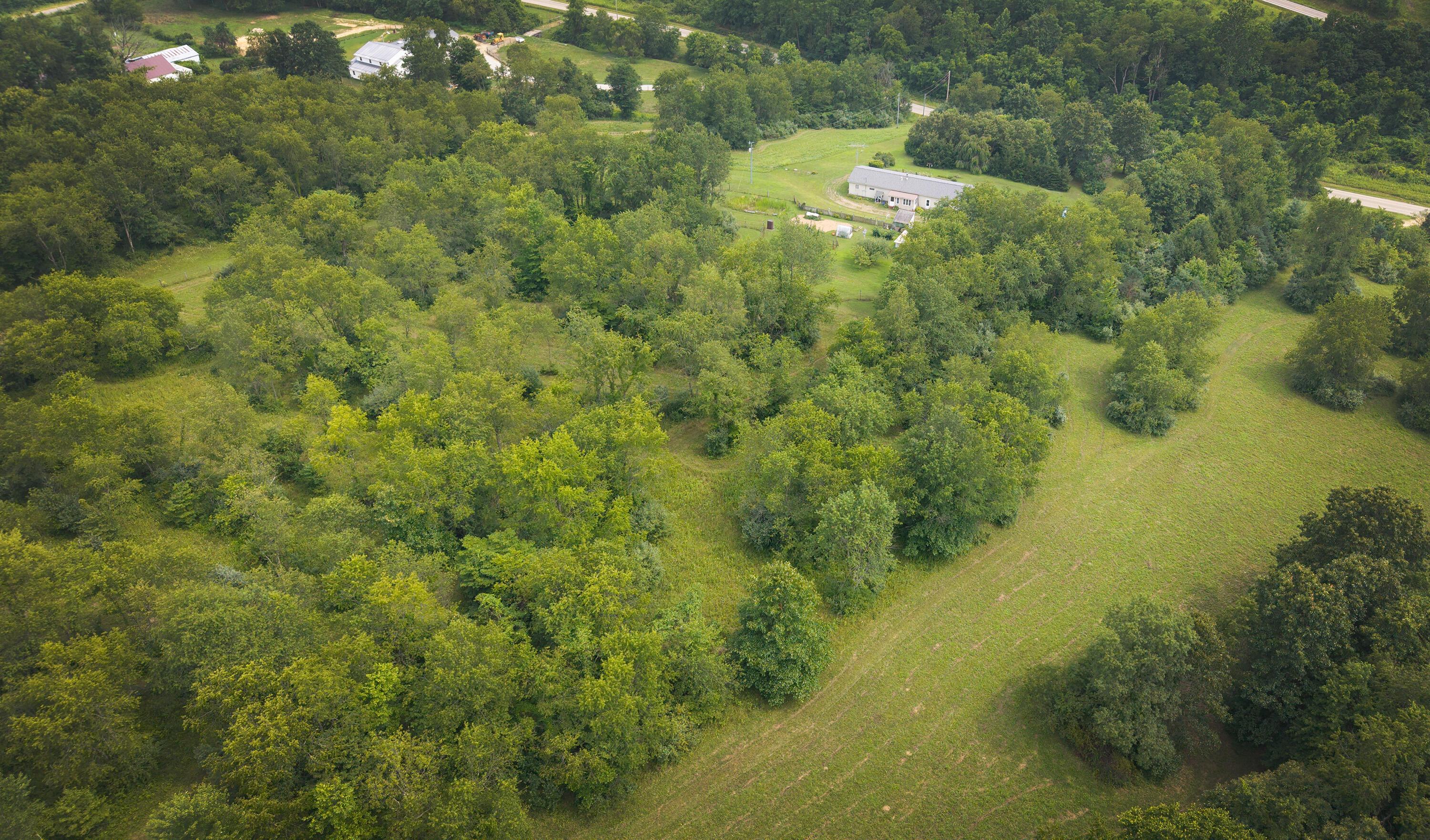 29655 Brush Run Road Howard, OH 43028 - Photo 39 of 48 BrushRun_39