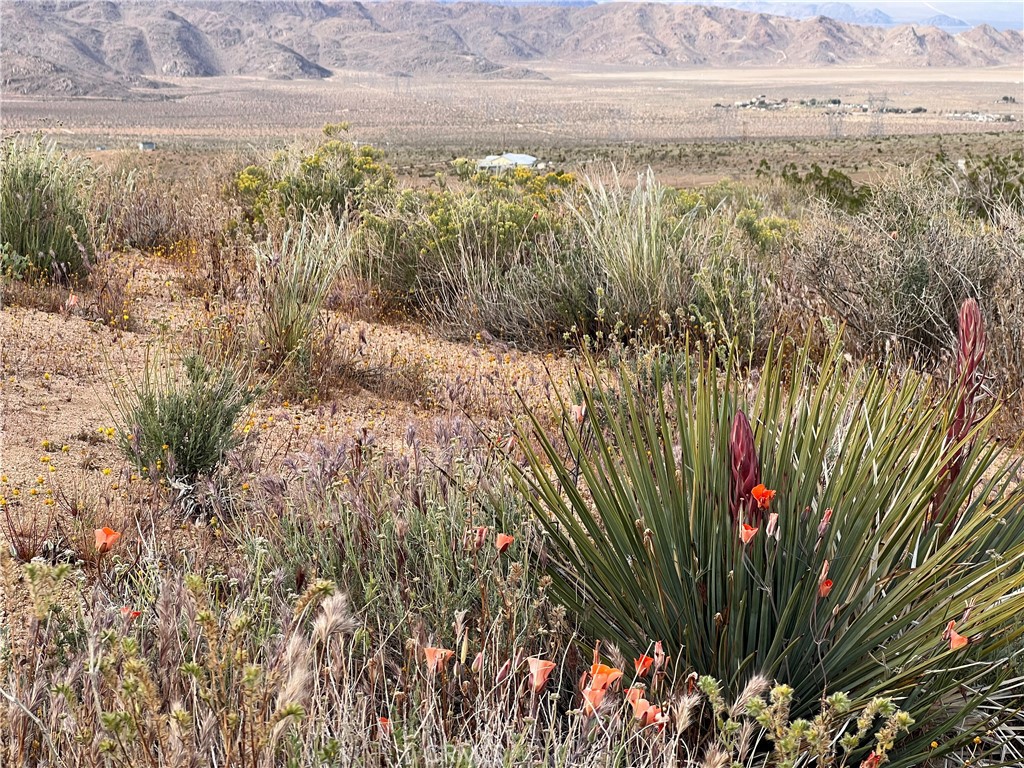 0 Valley View Road Apple Valley, CA 92308 - Photo 11 of 15 a view of a yard with wooden fence
