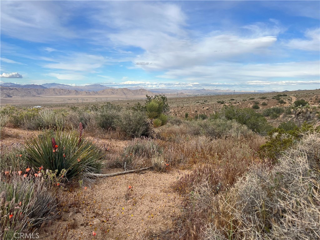 0 Valley View Road Apple Valley, CA 92308 - Photo 12 of 15 a view of a dry yard with trees