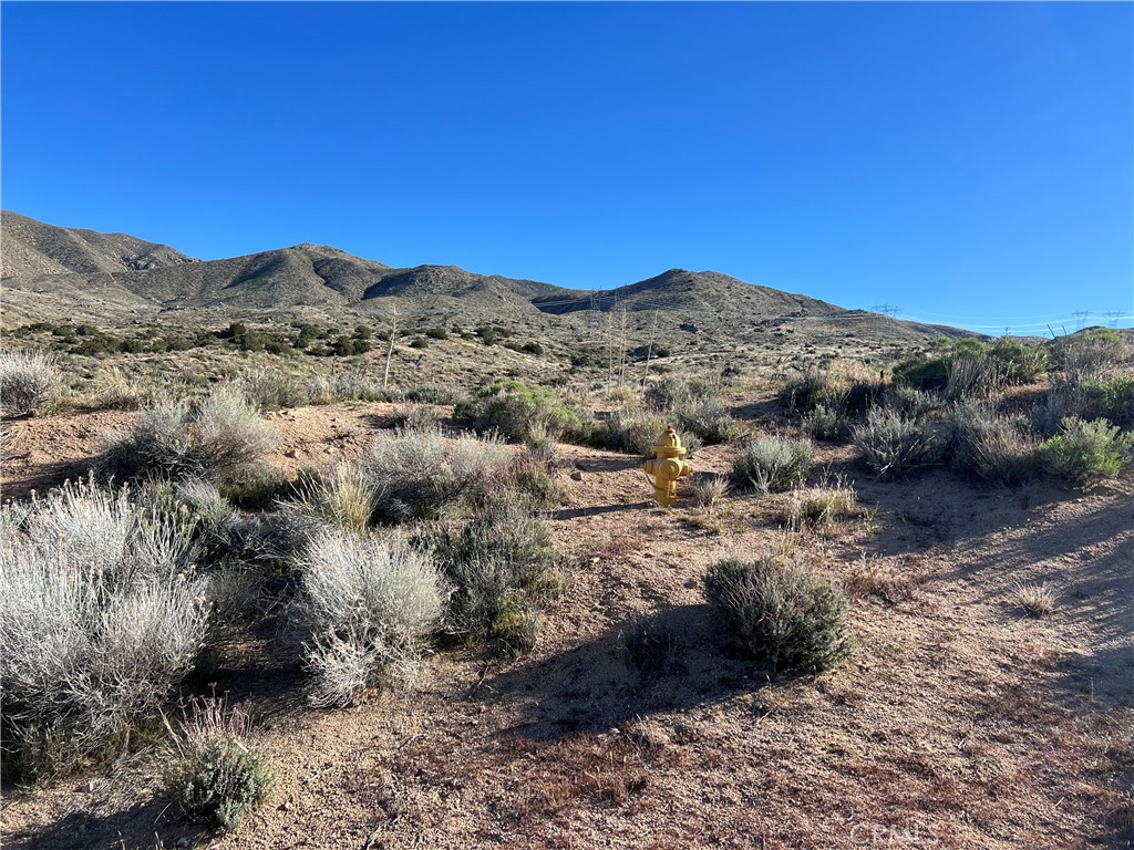 0 Valley View Road Apple Valley, CA 92308 - Photo 13 of 15 a view of a mountain range with trees in the background