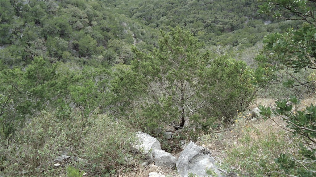 229 Pinon Loop East Camp Wood, TX 78833 - Photo 14 of 24
