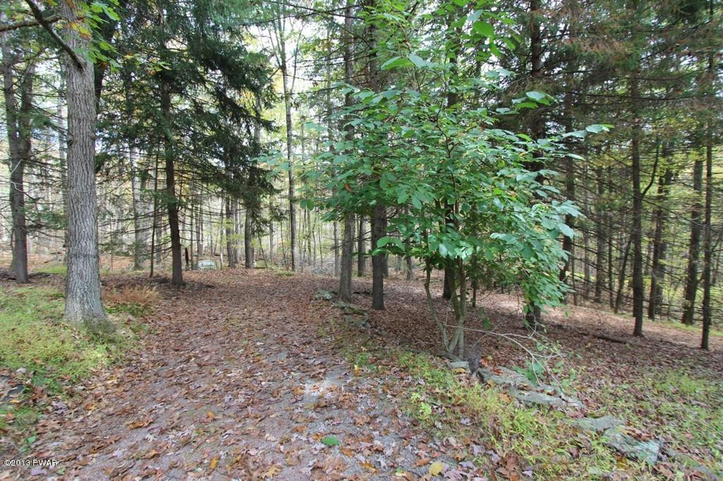 Solverson Road Hawley, PA 18428 - Photo 19 of 21