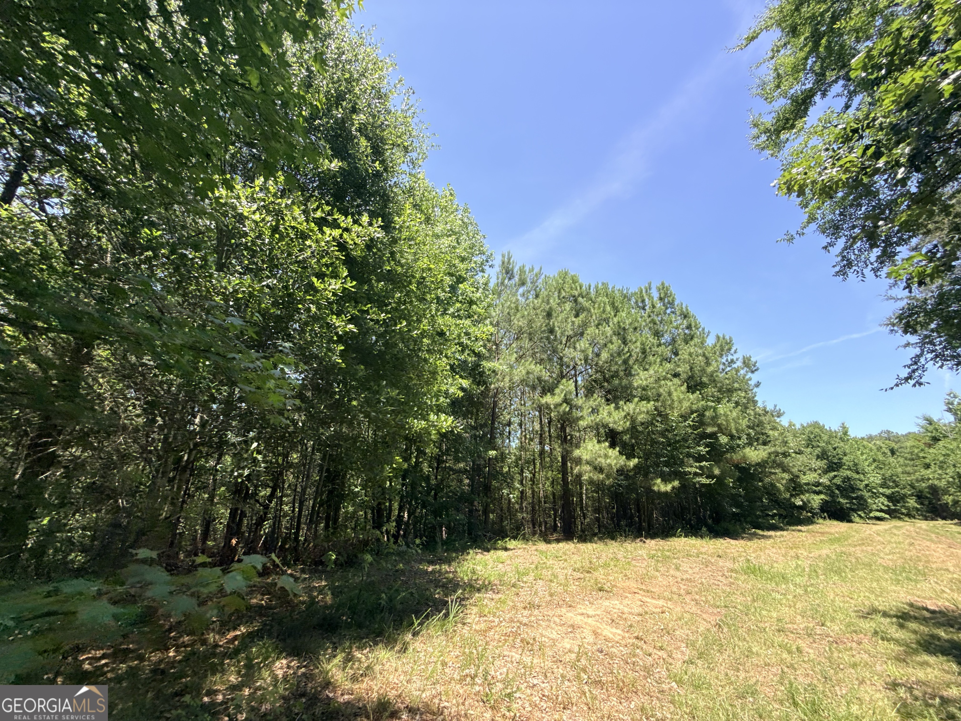 2807 Cedar Creek Road Elberton, GA 30635 - Photo 1 of 109