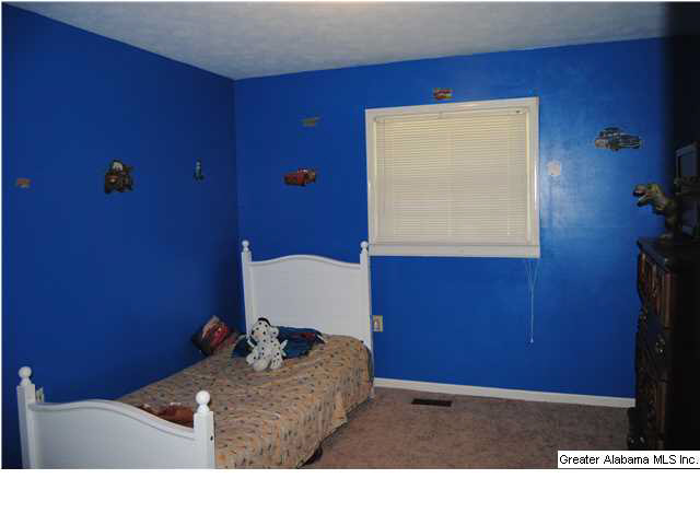 5140 Nisbet Lake Road Jacksonville, AL 36265 - Photo 14 of 26
