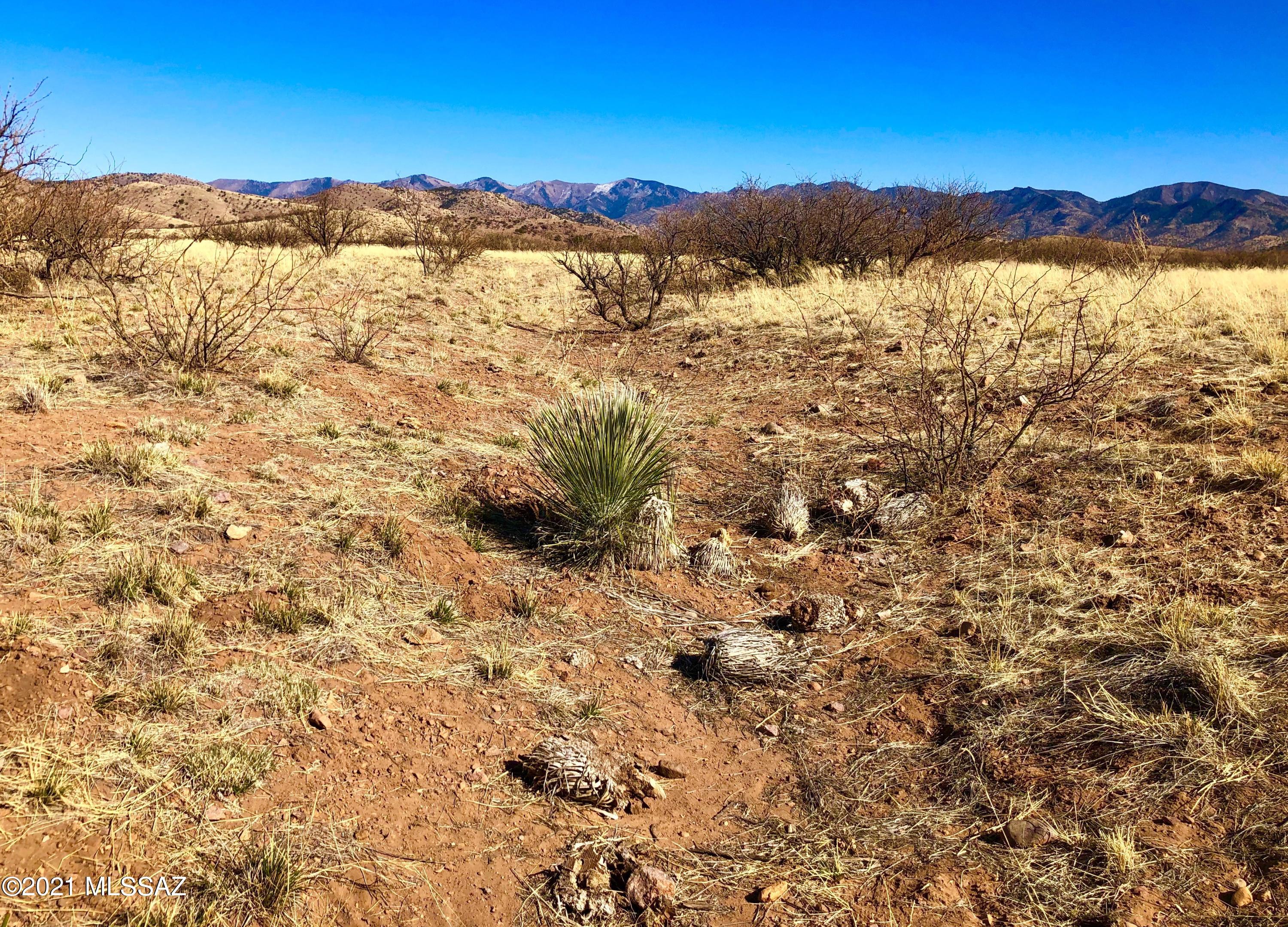 40.16 Ac Pearce, AZ 85625 - Photo 38 of 50