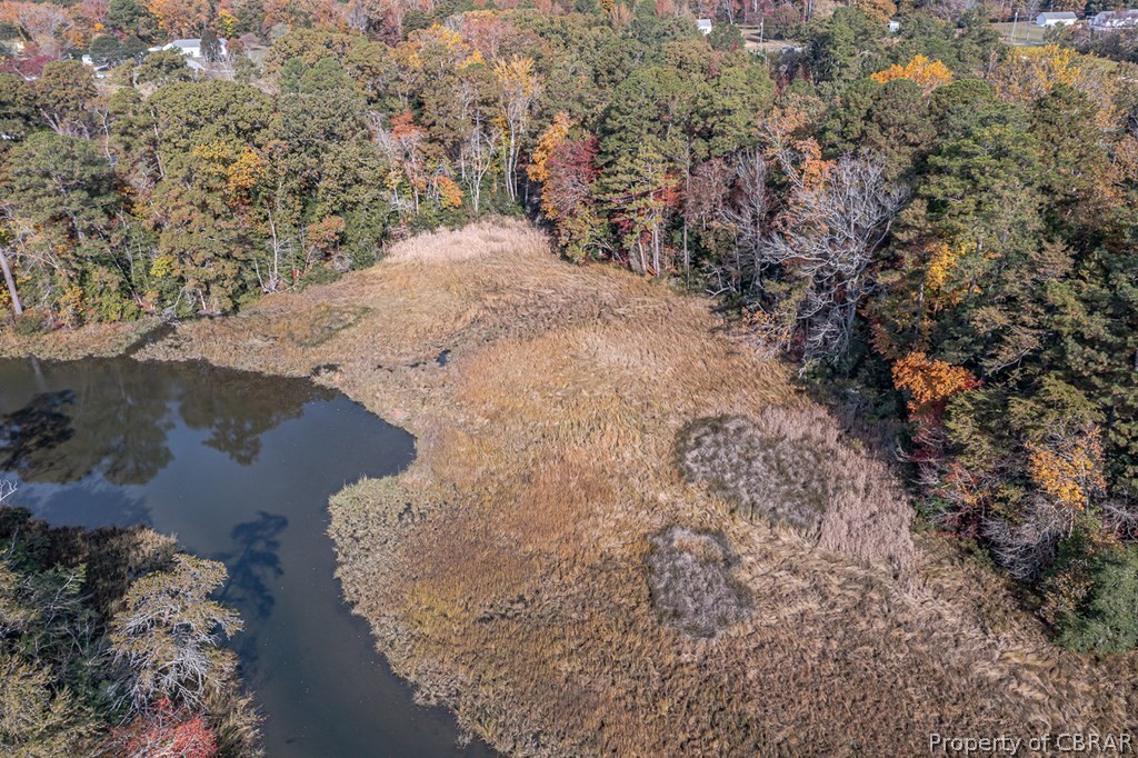 Lot 34 Ring Farm Road White Stone, VA 22578 - Photo 10 of 12