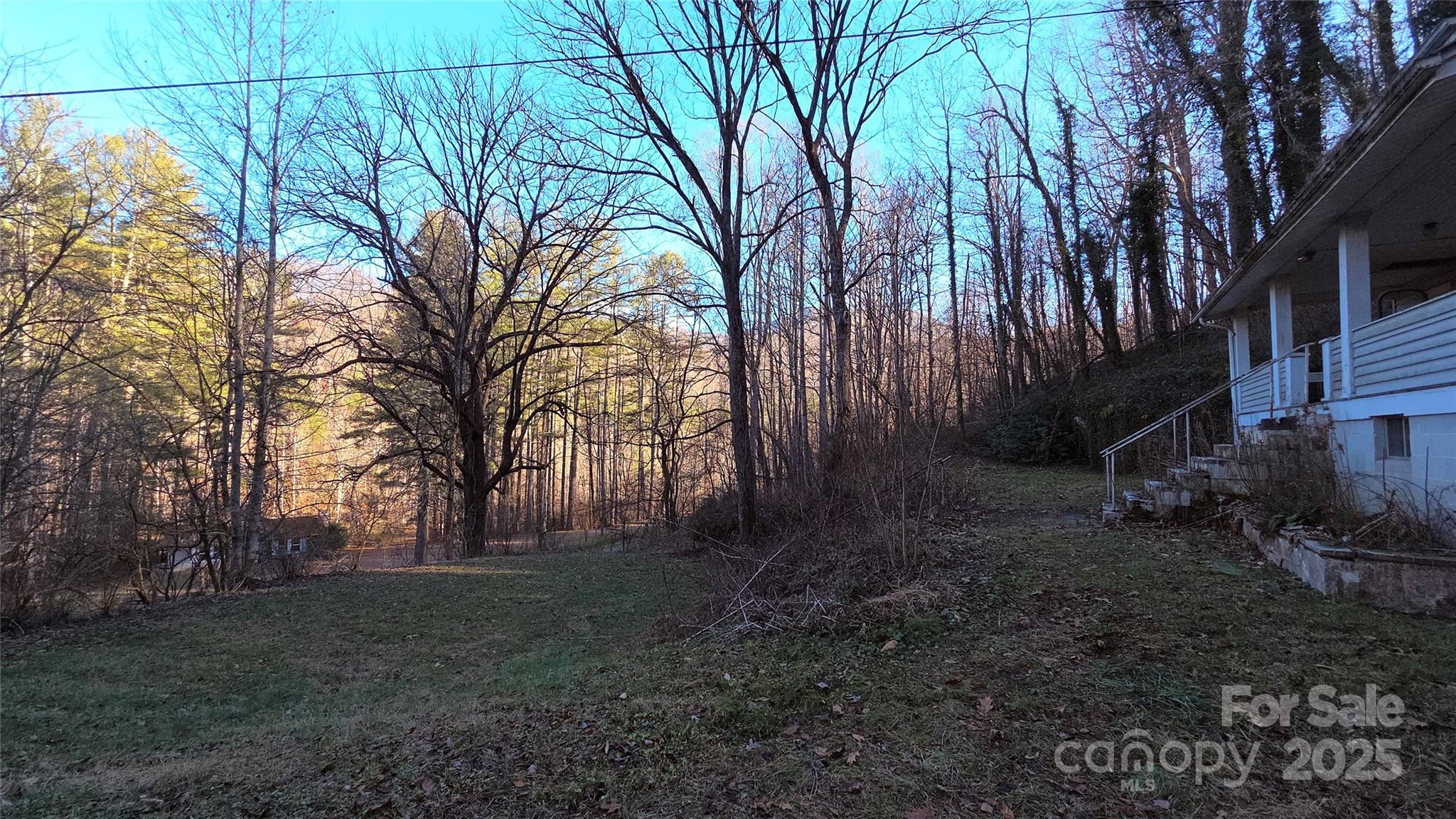 39 Henry Road Sylva, NC 28779 - Photo 17 of 20 a backyard of a house with lots of green space