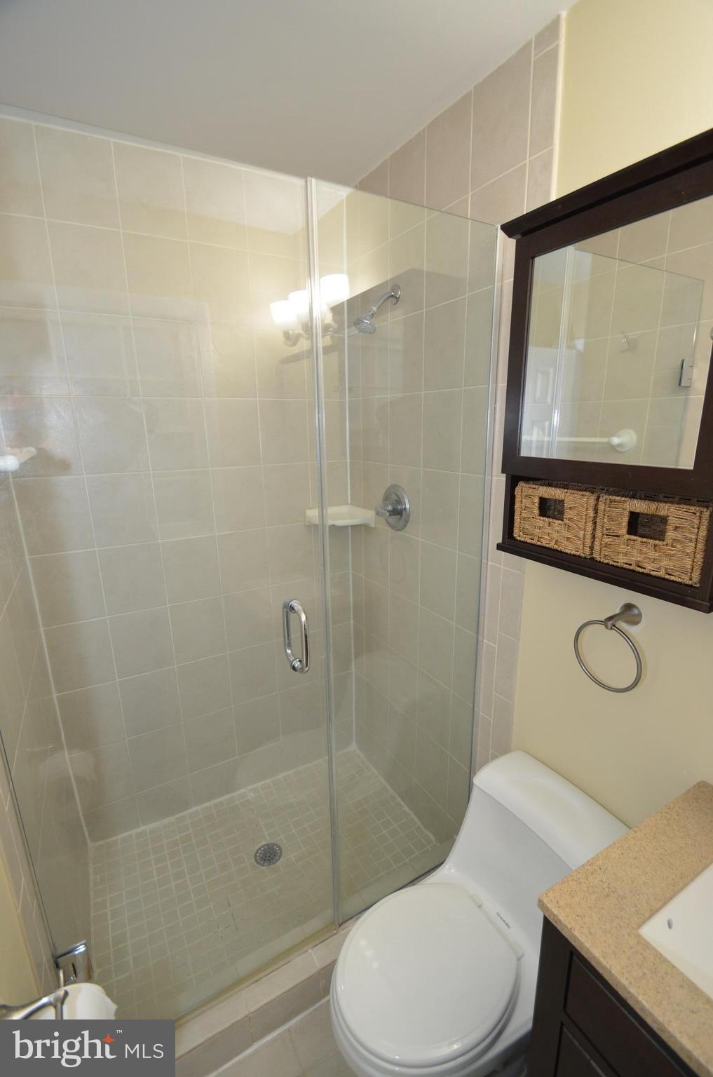 5612 Ashfield Road Alexandria, VA 22315 - Photo 19 of 29 a bathroom with a toilet a sink and shower