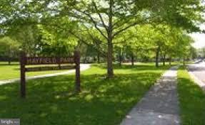 5612 Ashfield Road Alexandria, VA 22315 - Photo 29 of 29 a view of a park with large trees