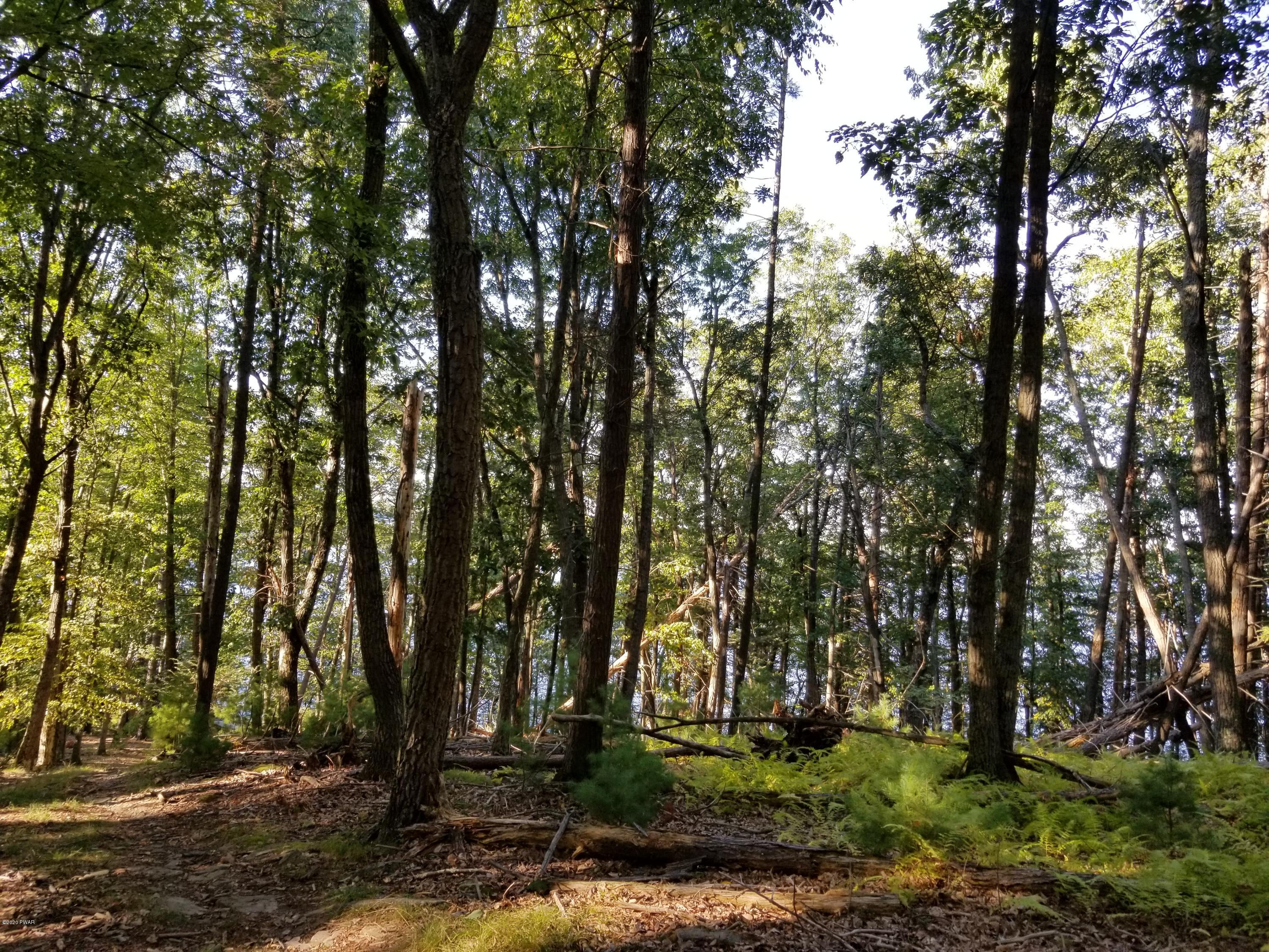 Coutts Point Drive Paupack, PA 18451 - Photo 21 of 22