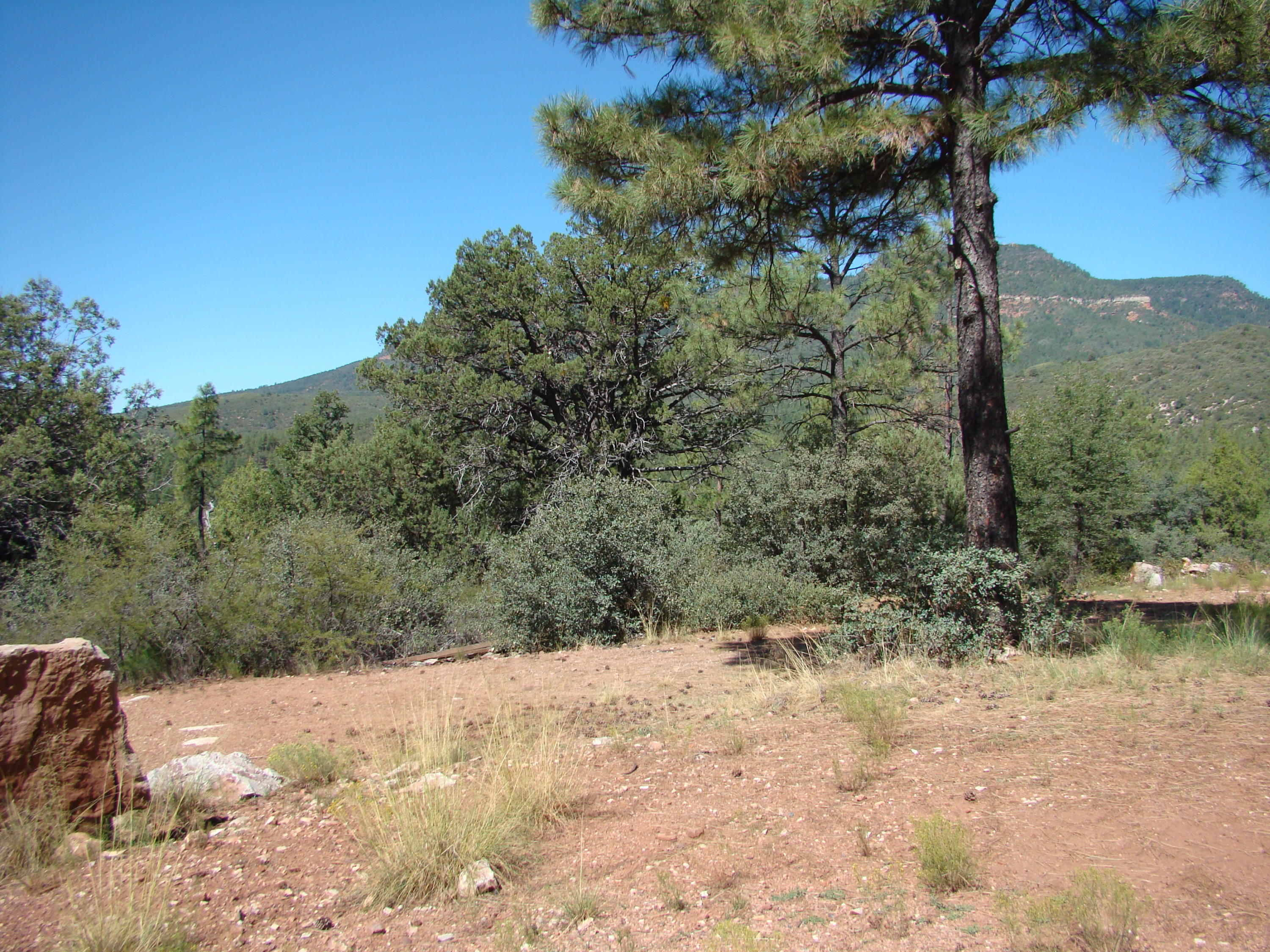 17033 Fire Control Road Payson, AZ 85541 - Photo 13 of 28