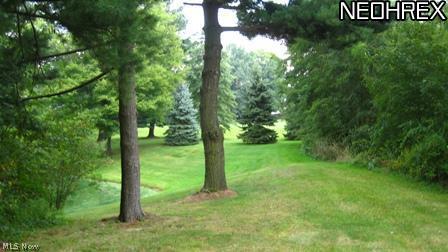 734 Akron Road Wadsworth, OH 44281 - Photo 17 of 20 Gallery Image 17